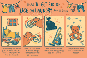 how to get rid of lice in bedding